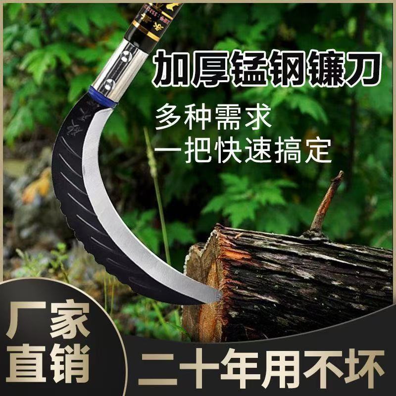 微信图片_20250414163929.jpg