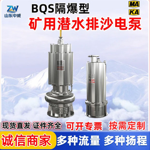 ���P䓵V�Ý�ˮ��ɳ늱� BQS50-75-22/N�V�ø����͝�ˮ��ɳ늱�