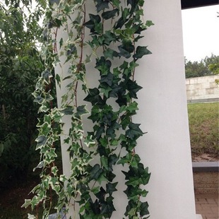 ���泣���ٵع��~��ɽ��ֲ����{�ܵ�����b��ٗl�������l