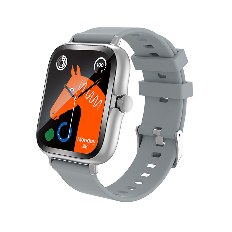 H13 크로스보더 핫모델(그레이)