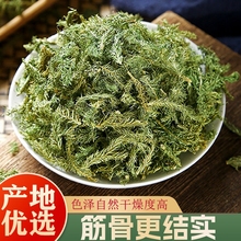 ���Ұ������500g���������_�h־͸�ǲ����ݲ�����r