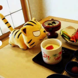 跨境新品Tiger X Dragon Taiga Tiger Plush小老虎毛绒玩偶公仔
