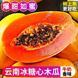 月饼;传统糕点;软糖