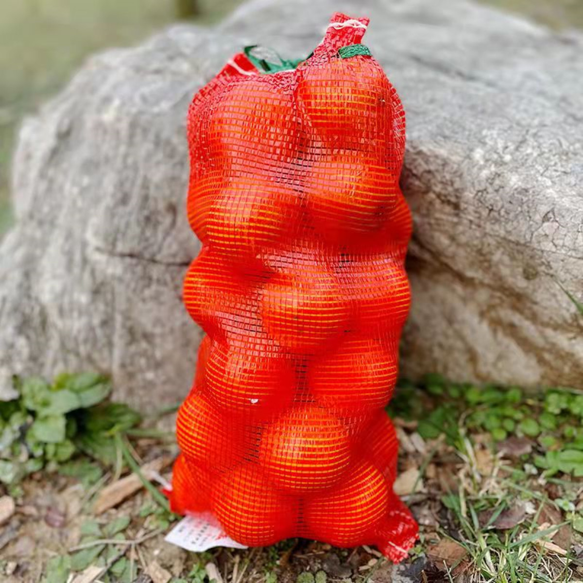 Naranja en bolsa de malla, naranja en bolsa de malla, pomelo en bolsa de malla, sandía en paquete, cebolla, patata, cuerda, bolsa de pollo