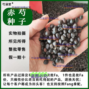 ������Ʒ�������׷N����ș���������ș�N�ӳ��ַN����ș�Ѱ�����