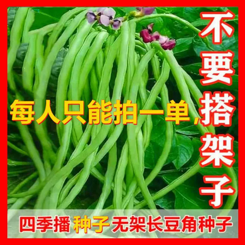 Семена фасоли без полки весенние, летние и осенние полевые Бобы без полки семена вигны Four Seasons Семена овощей в горшках во дворе