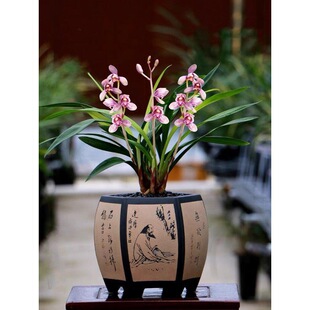 ���F�m�����������m���m�ļ������m������ۻ������Բݺ��B