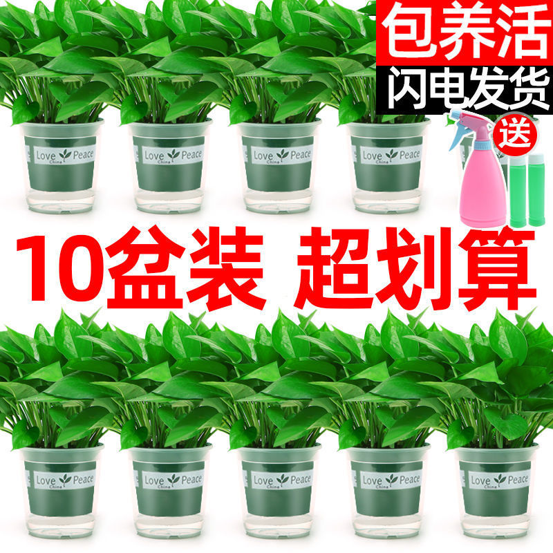 商品图