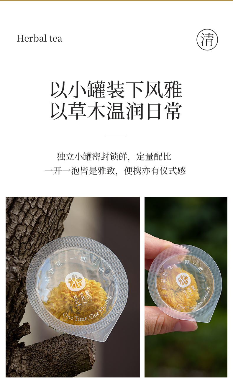 Huizhou Imperial Chrysanthemum Tea Large Whole Blooms Ju Hua 10g Mini Can Hot Brew Herbal Flower Tea quality and texture