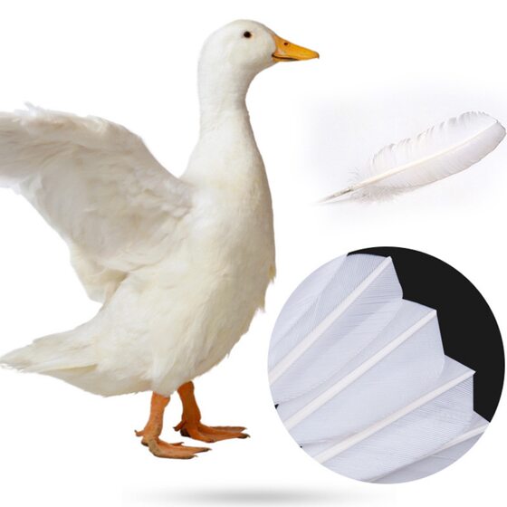 Disefer DSF333 foam ball head resistant to white can be unilateral foreign trade special badminton independent duck fur ball