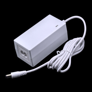 White 12V4A4.2A25.2V2.2A Korean KC Certified RCM Freezing Point Laser Hair Removal Power Adapter