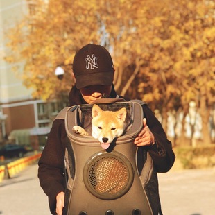 Dog Outing Backpack, Shoulder Bag, Dog School Bag, Cat Bag, Portable Space Capsule Pet Packaging, Teddy Corgi Large Size