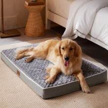 A 94391 Washable Memory Foam Dog Bed ���� ����ѷŷ���羳