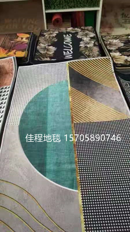 Ins European Style Living Room Printed Carpet Printed Large Carpet Bedside Blanket Coffee Table Blanket Home Large Carpet 160*180cm