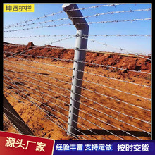 �̽z�������I���x�� ��僸��\���F�z PVC���ܵ�Ƭ���K�̾��F��޼