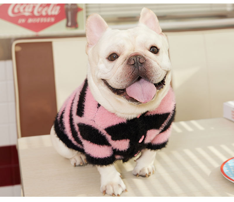 Pet Sweater Image 3