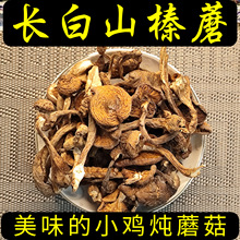 榛蘑干货500克东北特产长白山包装礼品盒新货野生批发小鸡炖蘑菇