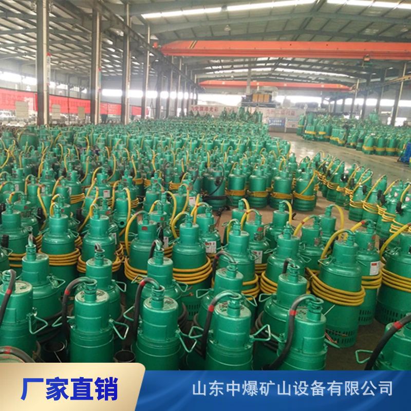 矿用潜水泵 BQS60-80-30/N  井下用防爆排污泵 380v660v 排沙电泵