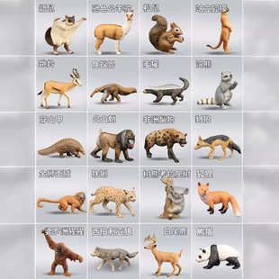 ��������Ұ��С����ģ������ϻ��{��ɭ���L�i¹3��Ů��4�J֪���