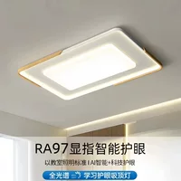 Modern and minimalistic ceiling light for living room, lights for bedroom, rectangular lamp, comfortable light spectrum