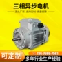 振动三相异步380v电动机