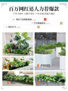 ���ٻ��[�O�҃ȷ����Gֲ�쾰�b������̨���ۑ��⻨�仨