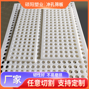 Pp Perforated Plate High Density Compression Resistant Round Hole Filter Wear-Resistant Drain Pad Food Grade White Polyethylene Screen Plate