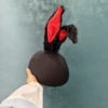 Black jackrabbit with black hat
