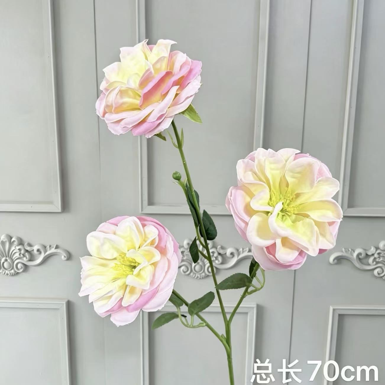 핑크색 세 머리 리치 모란