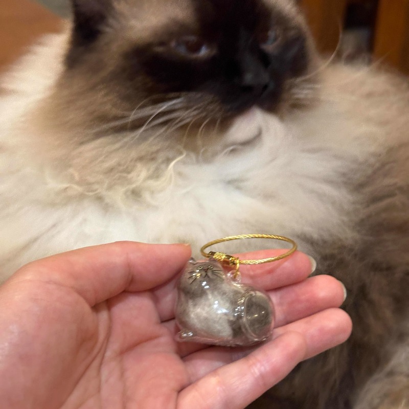 子猫と子犬透明毛収納ボックスかわいい動物毛玉収納ペンダント装飾記念ダストボックスギフト|undefined
