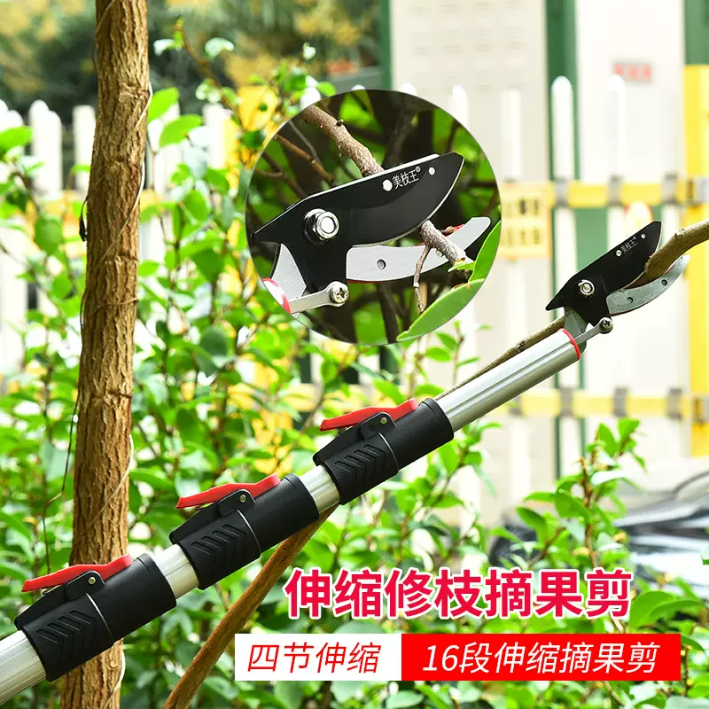 四节伸缩高枝摘果剪 高空摘果剪荔枝龙眼芒果采果剪园林工具批发