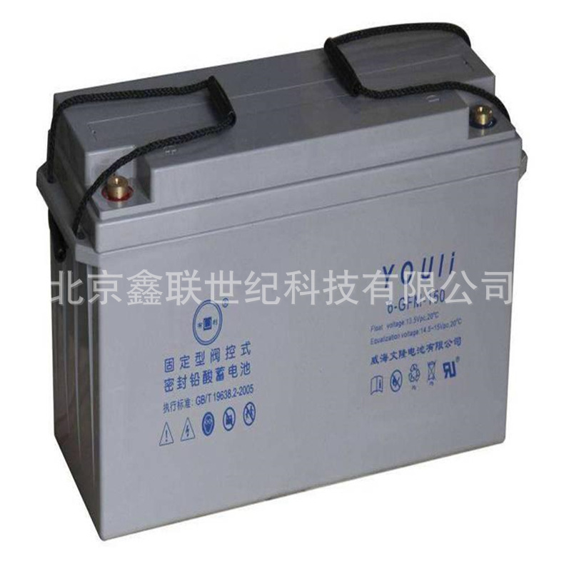 文隆蓄电池6-GFM-38/阀控式胶体蓄电池12V-38AH含税