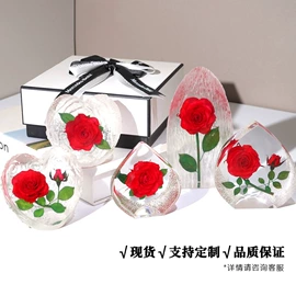 标本;工艺礼品项目;树脂工艺品