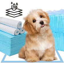 I 53168 Thick Bamboo Charcoal Pet Pads ��̿������� ��