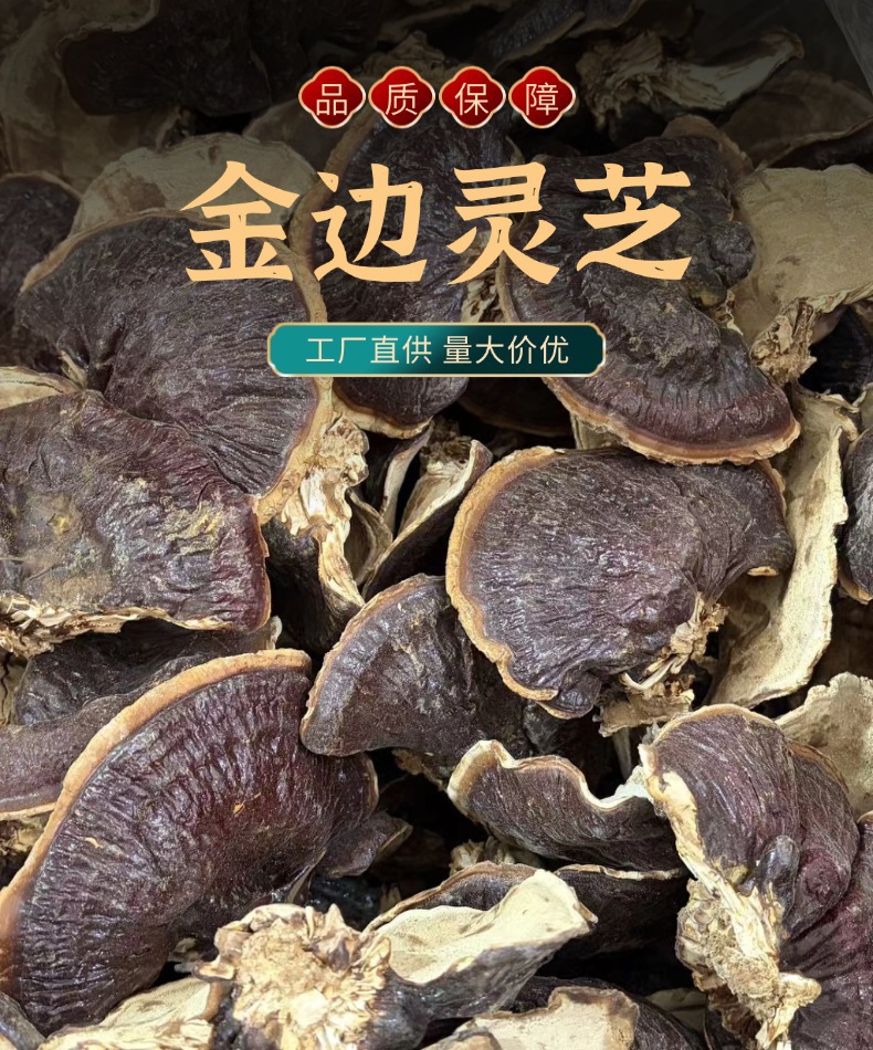 Dried Reishi Mushroom Slices Golden Edge Lingzhi 250g Natural Sun Dried Factory Direct overview