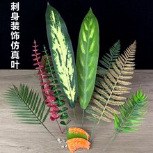 ����[�P�b��������~���r����Ƶ����~����c�Y�~�ӄ����߅