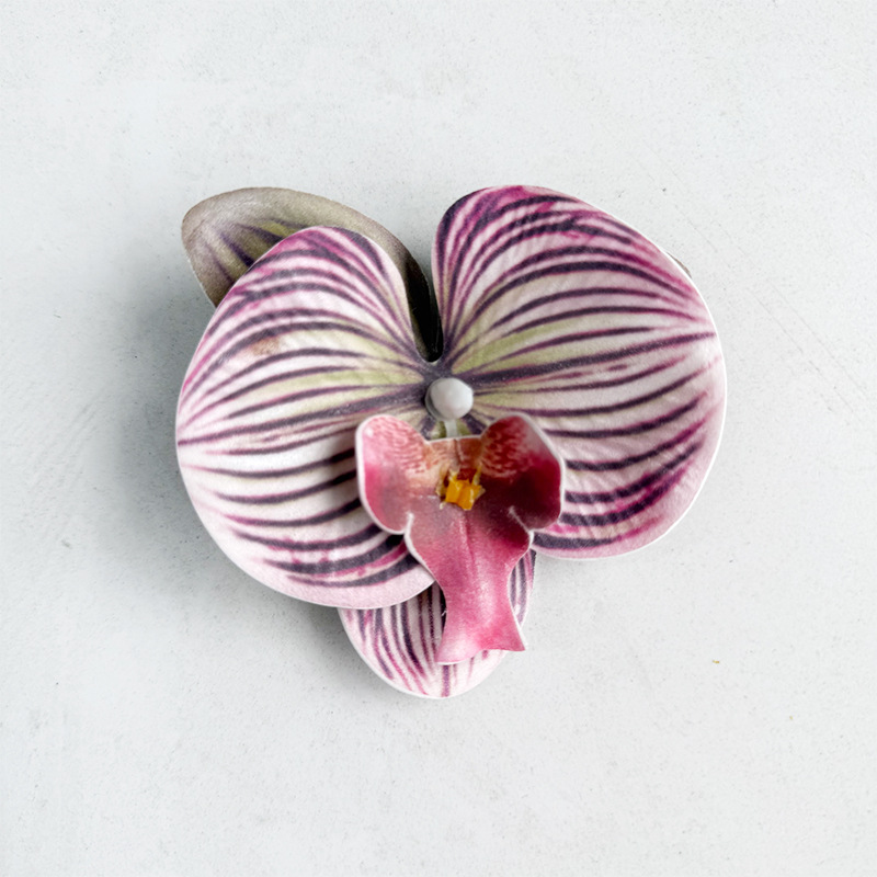 중간 에바 호접란-보라색