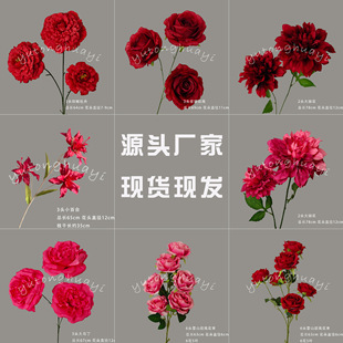 �S�����l�¿�tɫ�ٻ����滨������c�廨�b���ˇ�����쾰����