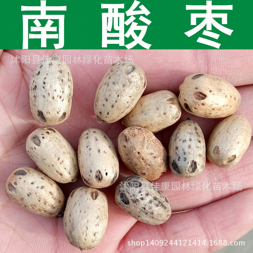五眼果种子 南酸枣种子 酸枣树 四眼果 货郎果 1件=1斤