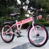 Folding Princess Fan [Single speed standard+car basket+rear goods D10