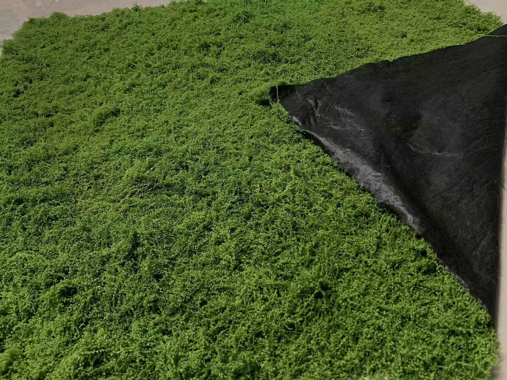 QQ图片20240515135638