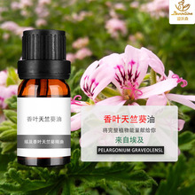 �������~���ÿ�����Geranium oilõ�����ÿ��������s��ȡ�η�����