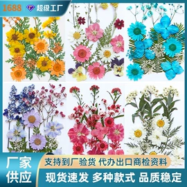 干花;相框、画框;贺卡