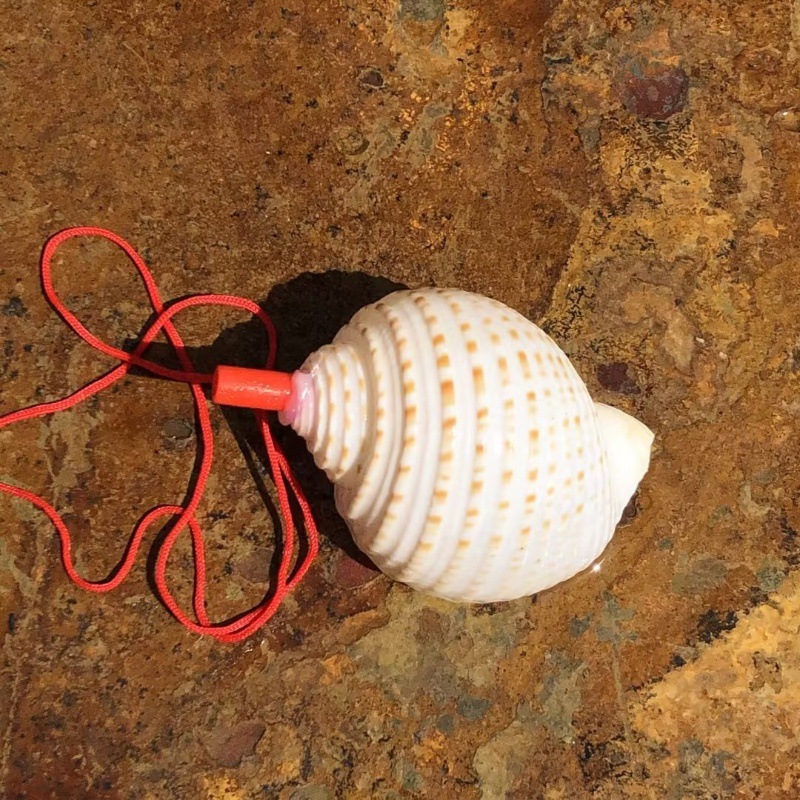 Piano snail whistle 8-10 cm