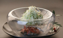 亚多利亚酒店餐具意境菜创意冷菜热菜盛器分子美食创意盘造景者