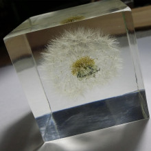 ֲwѹӢ˱K悼ѹӢŮնY[