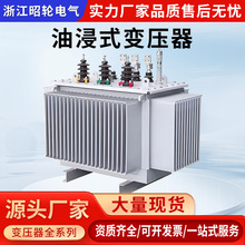S11-S13-S20油浸式变压器10kv高压三相电力变压器500/800/2000KVA