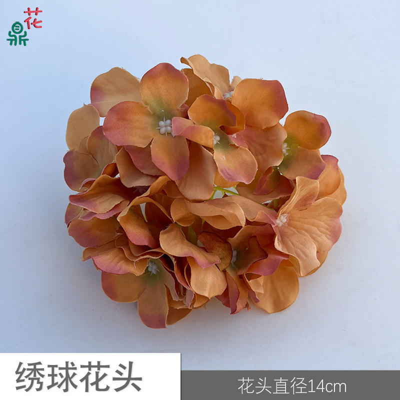 54 수국 머리 YY 빛 가을 오렌지