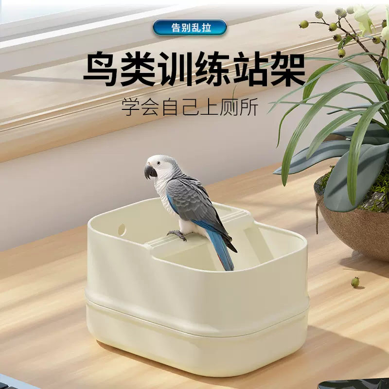 塑料小宠鸟类定点排便训练器桌面站杆互动喂食站架站台