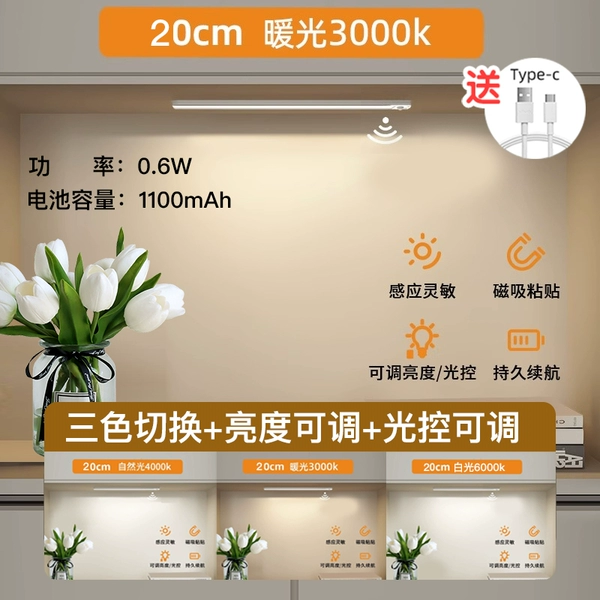 [High battery life] 20cm three-color switching + adjustable brightness + charging and plugging + human body sensing + always on